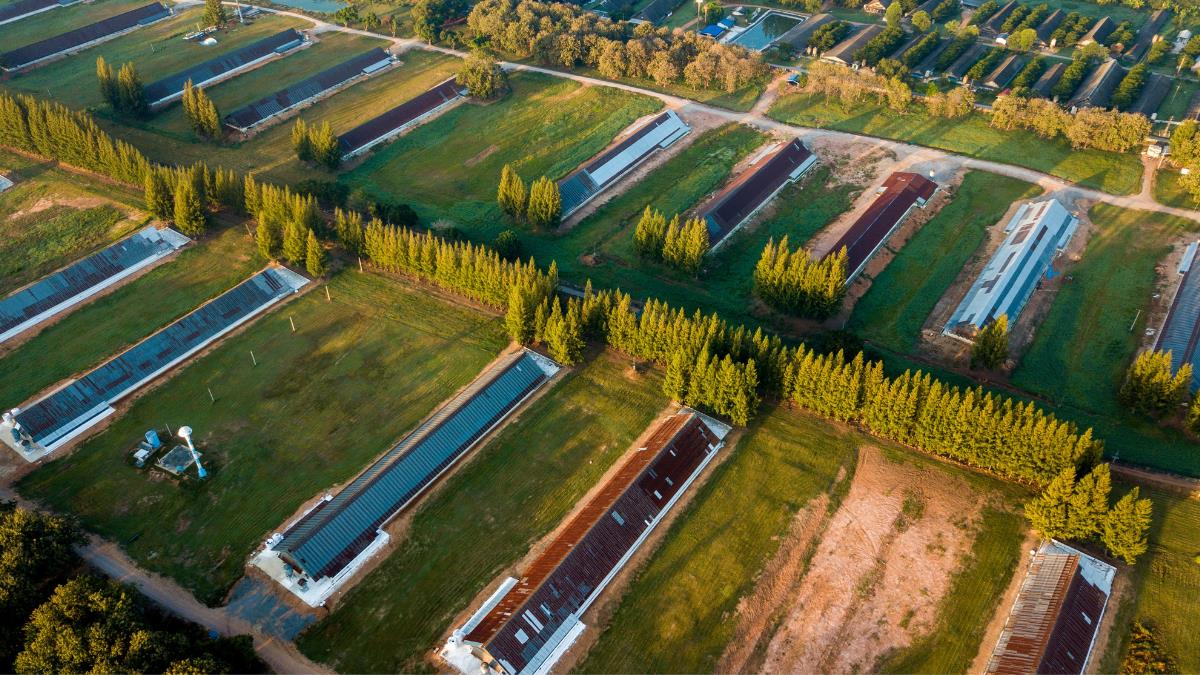 10 mejores licenciaturas de Agronomía en Perú